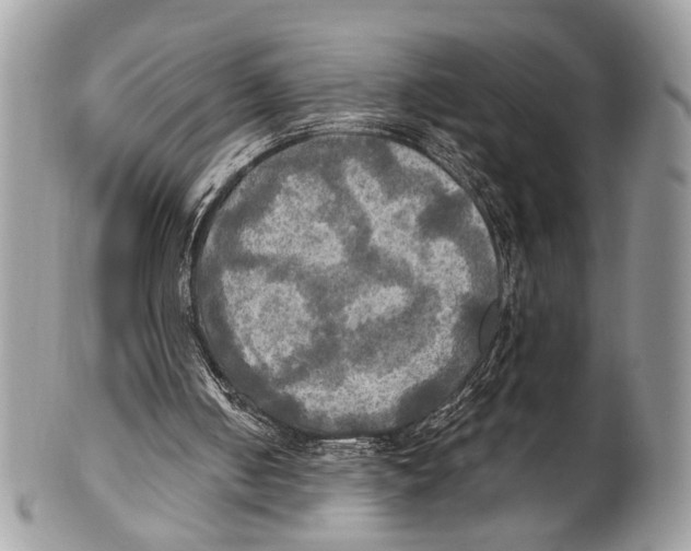 X0000101160050200807251119