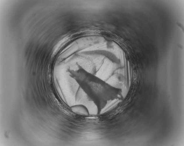 X0000101160053200807251119