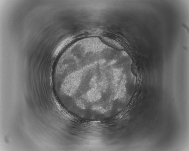 X0000101160054200807251119