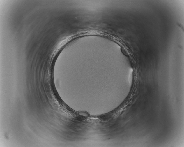 X0000101160055200807251119