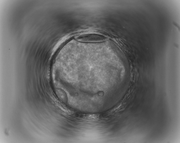 X0000101160056200807251119