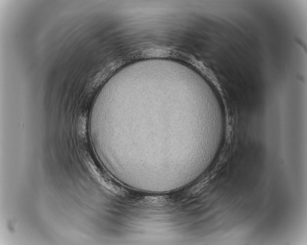 X0000101160057200807251119
