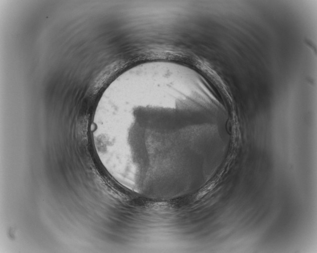 X0000101160058200807251119
