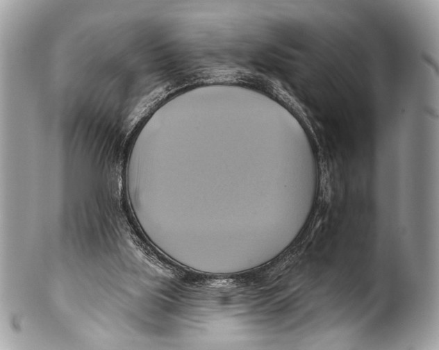 X0000101160059200807251120