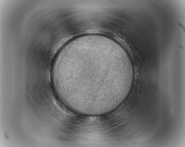 X0000101160060200807251120