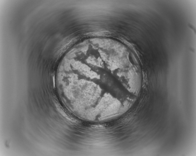 X0000101160061200807251120