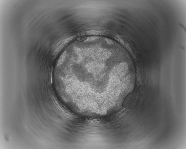 X0000101160062200807251120