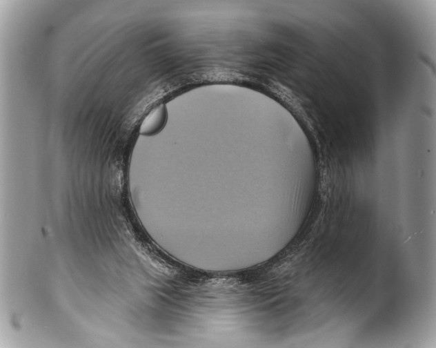 X0000101160063200807251120