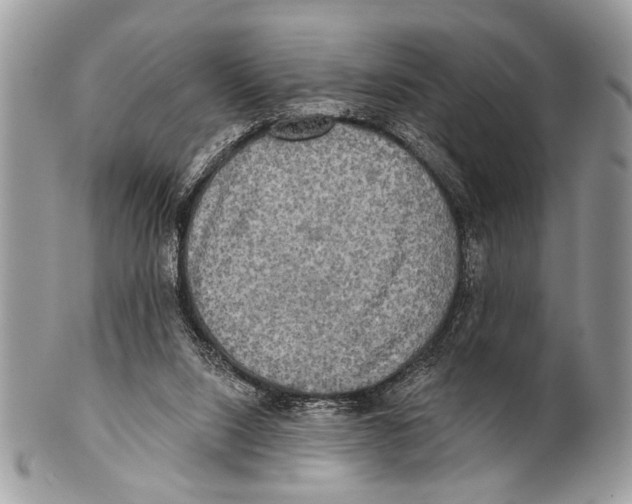 X0000101160064200807251120