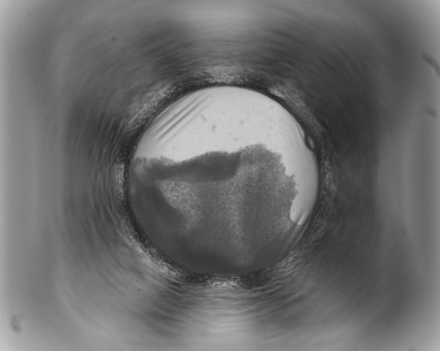 X0000101160066200807251120