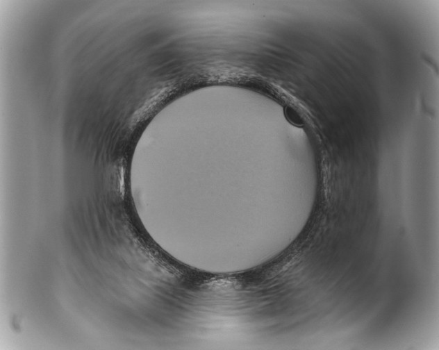 X0000101160067200807251120