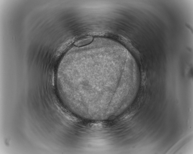 X0000101160068200807251120