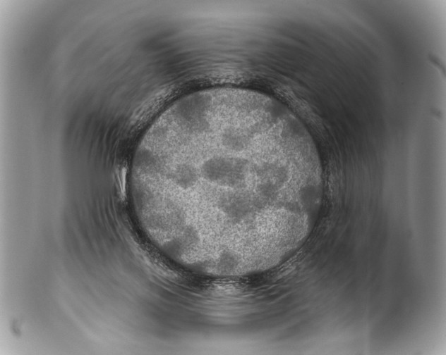 X0000101160070200807251120