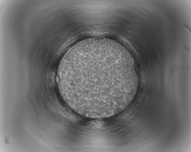 X0000101160071200807251120