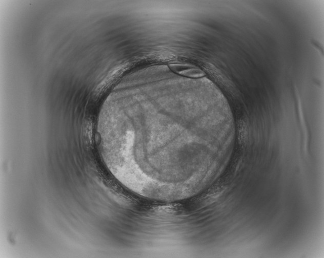 X0000101160072200807251120