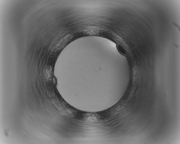 X0000101160073200807251120