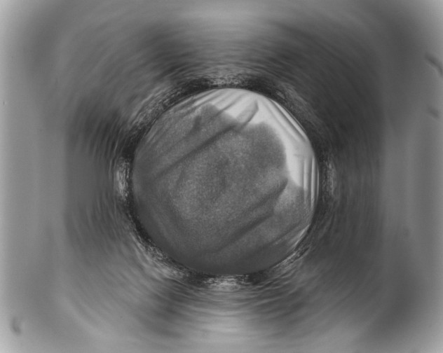 X0000101160074200807251120
