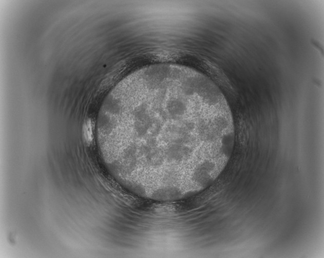 X0000101160075200807251120