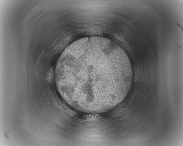 X0000101160077200807251120
