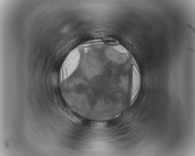 X0000101160081200807251120