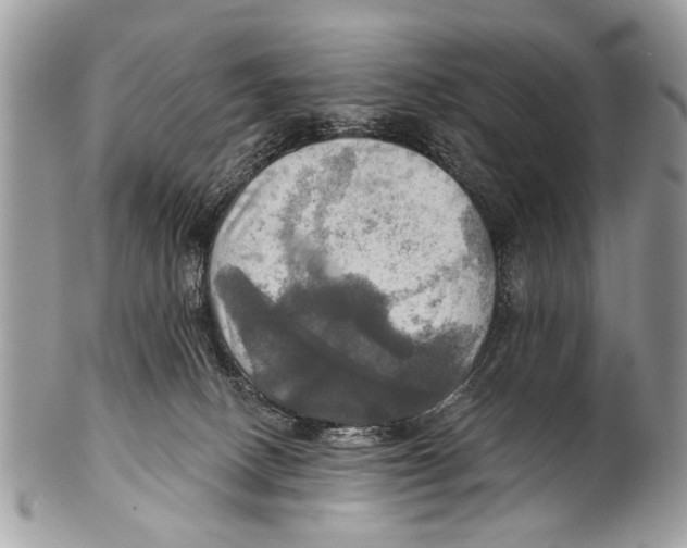X0000101160082200807251120