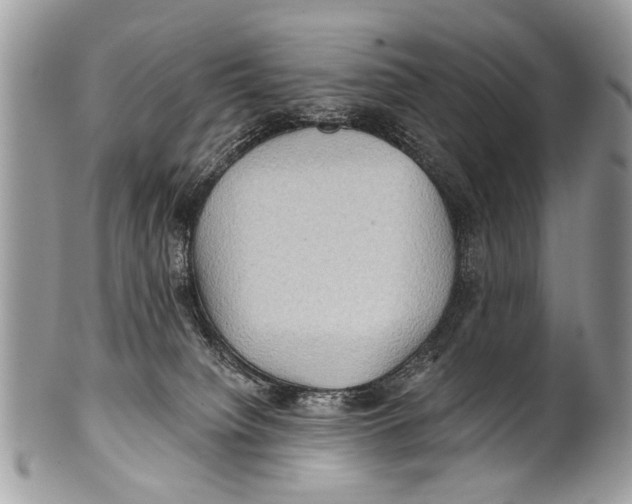 X0000101160084200807251120