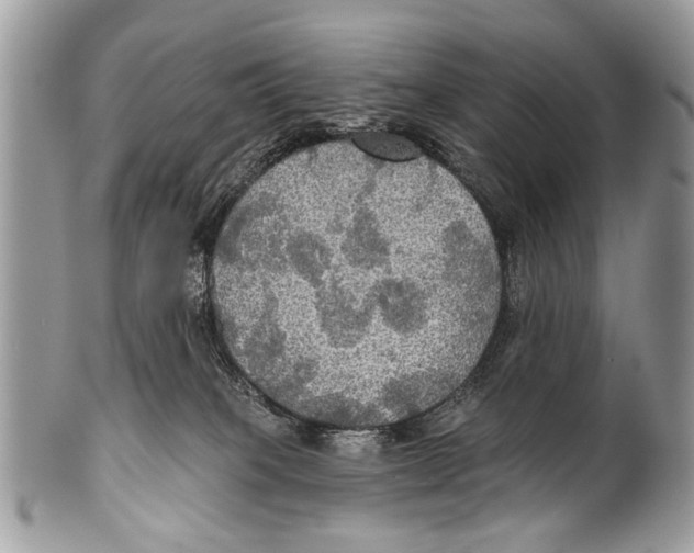 X0000101160085200807251120
