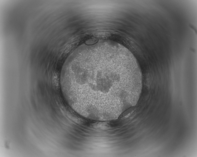 X0000101160086200807251120