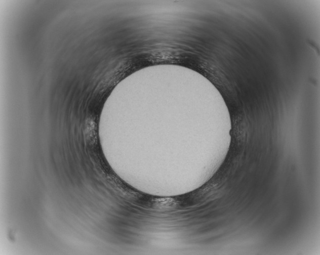 X0000101160087200807251120