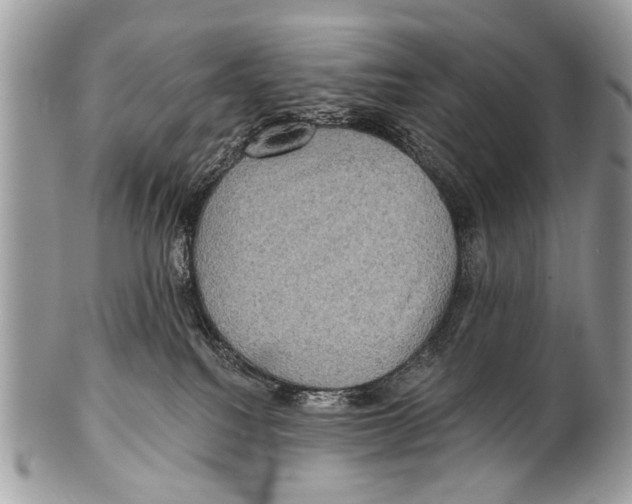 X0000101160088200807251120