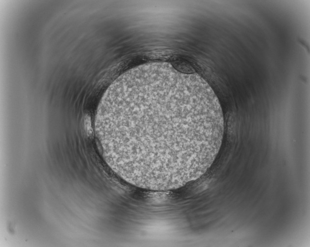 X0000101160089200807251120
