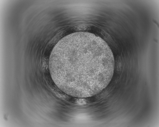 X0000101160091200807251120