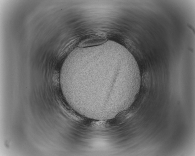 X0000101160092200807251120