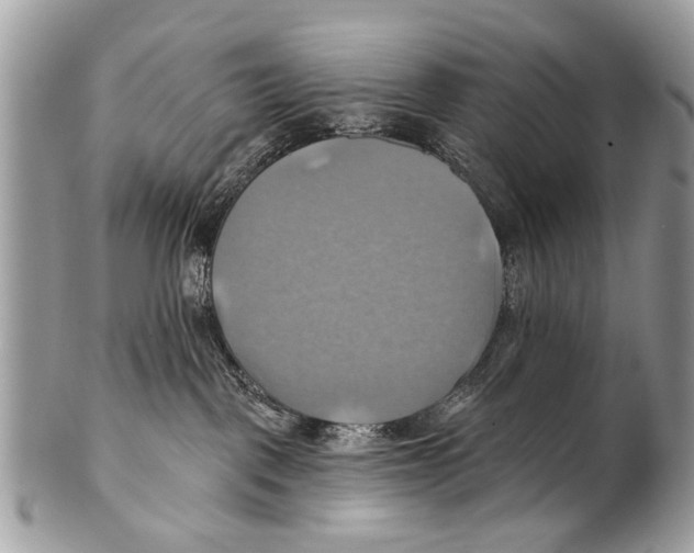 X0000101160093200807251120