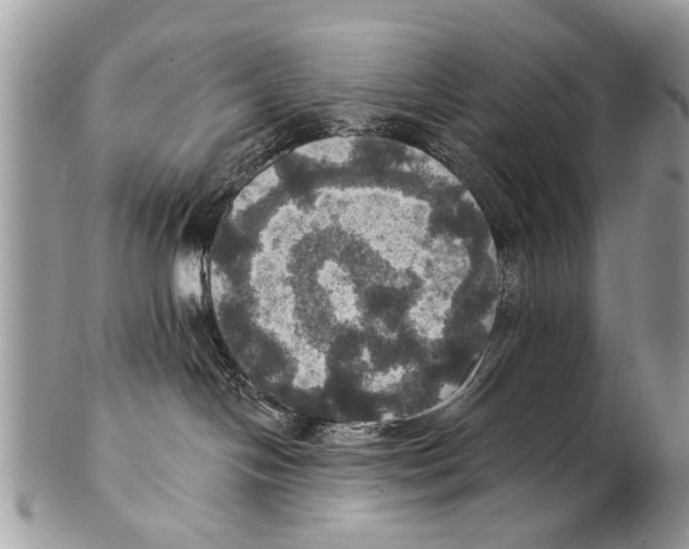 X0000101160094200807251120