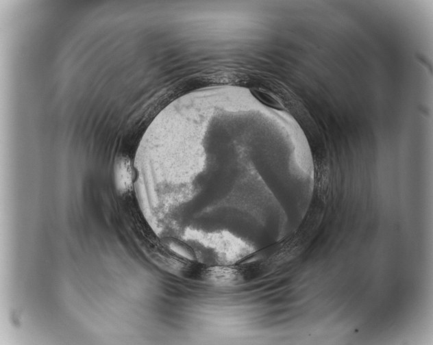 X0000101160095200807251120