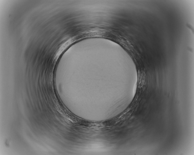 X0000101160099200807251119