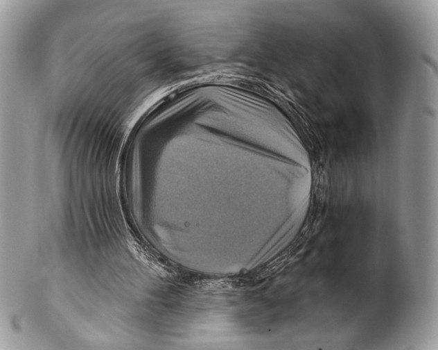 X0000101160100200807251119