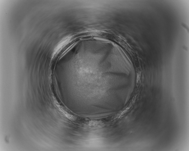 X0000101160101200807251119