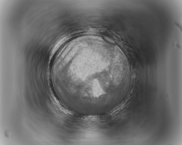 X0000101160102200807251119