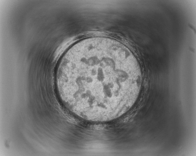 X0000101160103200807251119