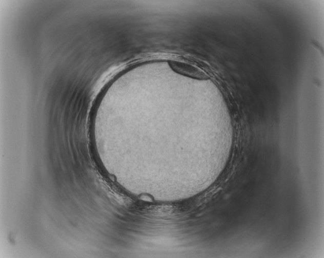 X0000101160104200807251119