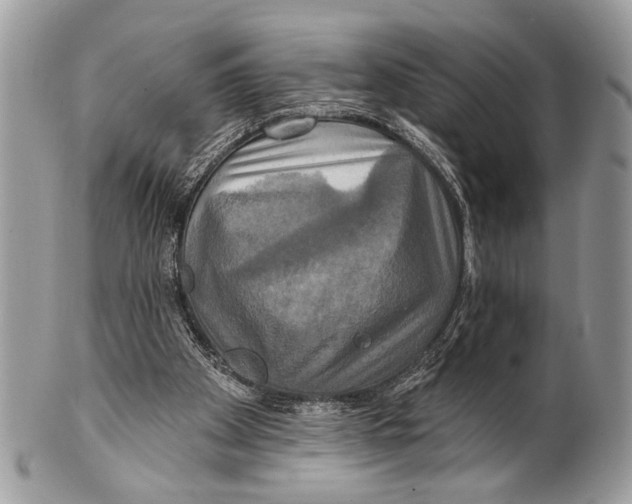 X0000101160105200807251119