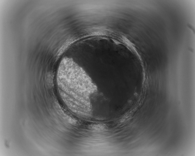 X0000101160106200807251119