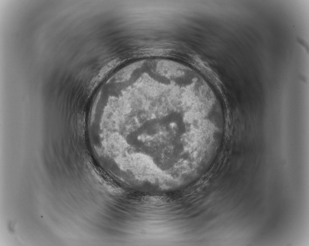 X0000101160107200807251119