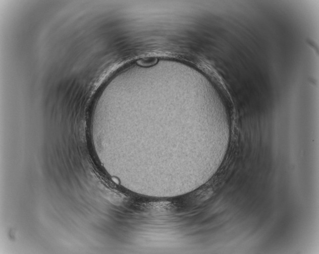 X0000101160108200807251119