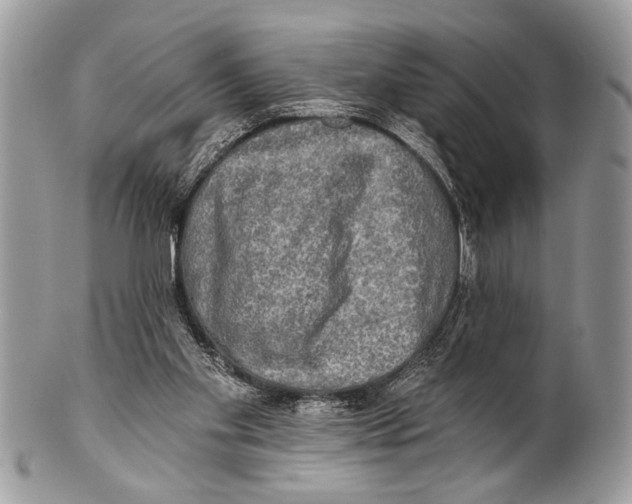 X0000101160109200807251119