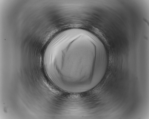 X0000101160110200807251119