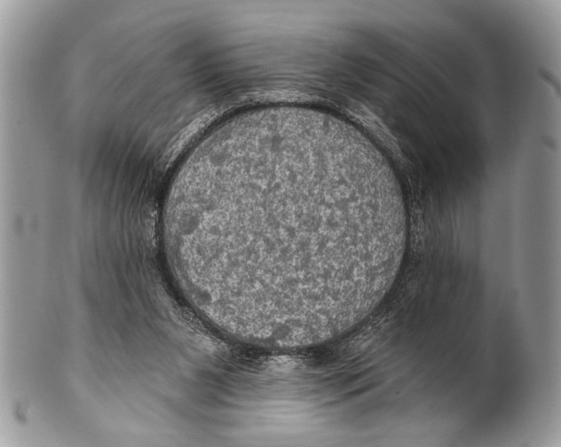 X0000101160111200807251119