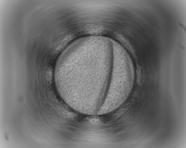 X0000101160113200807251119